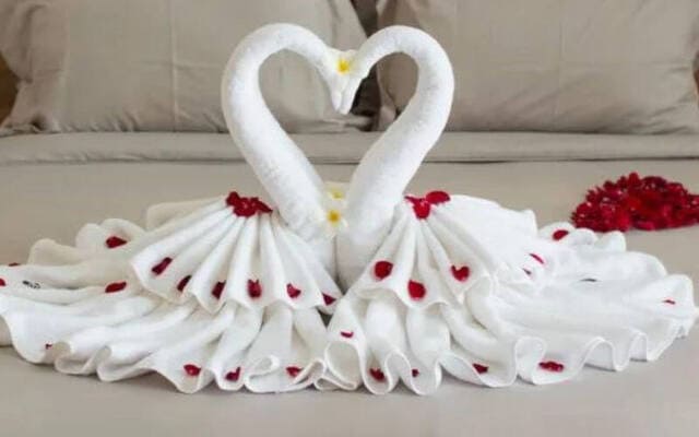 Hướng dẫn gấp khăn khách sạn Swan đơn giản trong 1 nốt nhạc